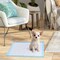 Sky Blue 24 Inch Pet Wee Pee Piddle Pad with Bibulous Paper Ideal for Indoor Pets